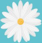 Margarida Decorativa